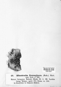 Image Associated With the Occurrence